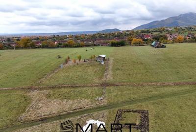 Teren extravilan 2200 mp in Orlat - 3