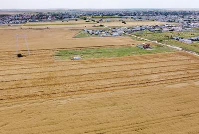 Teren Intravilan In Rate Sf. Ana - Com. Berceni | curent | #UG25 Teren Intravilan In Rate Sf. Ana - Com. Berceni | curent | #UG25 - 4