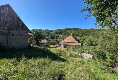 Casă tradițională în Valea Zălanului – acoperiș refacut teren 1.690 m² Casă tradițională în Valea Zălanului – acoperiș refacut teren 1.690 m² - 5