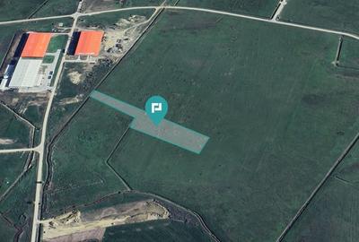 Teren agricol în Sânandrei, aproape de DN69 - 1