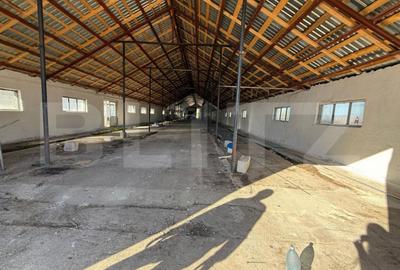 Spațiu comercial, de 700 mp, în Industrială - 6