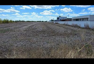 Spațiu comercial, în Central - 5