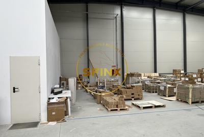 Spațiu industrial, de 760 mp, în Mogoșoaia - 6