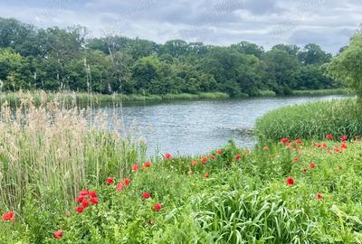 Casa cocheta, 4 camere, 600mp gradina, 5 min de DN1, Garaj, carport, mobilata, magazie - 9