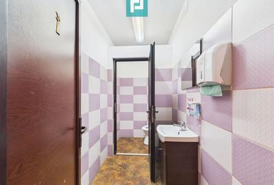 Pensiune la Orțișoara - 19