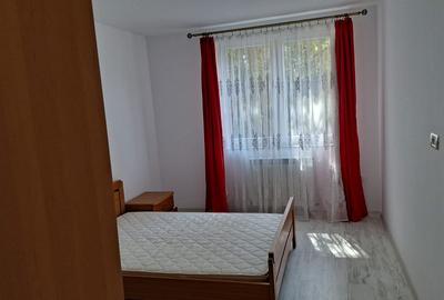 Apartament cu 3 camere decomandat în Paltin - 2