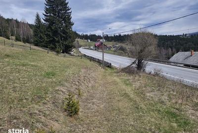 Teren de 15076 mp, în Iacobeni - 6