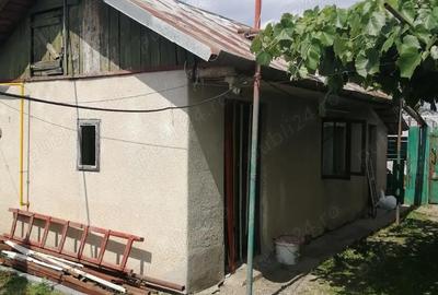 Casă cu 3 camere în Crivina - 9