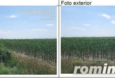Teren Fantanele cota parte 1/6 , ID: R2111660 - 3