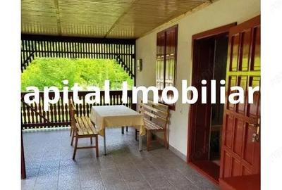 Proprietate Unica in Inima Naturii Galaoaia, Mure? - 6