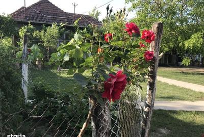 Casă cu 2 camere în Tulca - 8