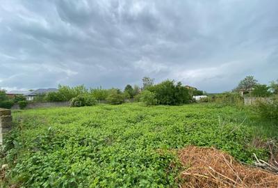 Islaz - Branesti - teren 1374mp - canalizare - gaze - curent - asfalt - 3