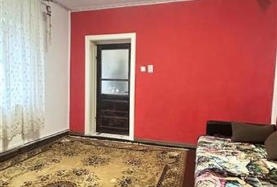 Casă individuală cu 4 camere cu Canalizare în Viile Noi - 15