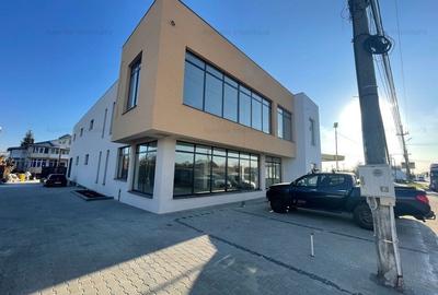 Showroom si deposit intrare Afumati  - STRADAL – RAMPA-LIFT-PARCARE TIR - 2