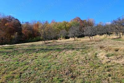 Casă cu 3 camere în Șinteu - 2