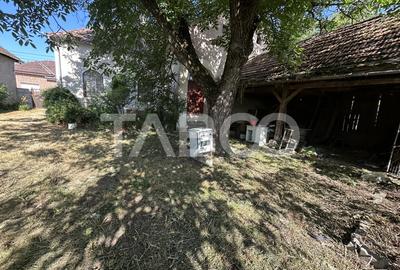 Casa cu potential de investitie in centrul satului 1540 mp teren - 6