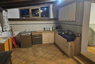 Pet friendly! Casa singura in curte, cu gradina, Sanpetru, Brasov - 15