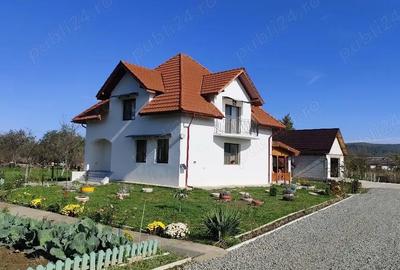 Casă cu Teren 2400 Mp în Vărădia de Mureș - 4