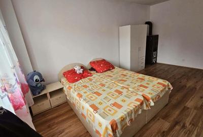 Apartament cu 2 camere decomandat în Bala de Sus - 8