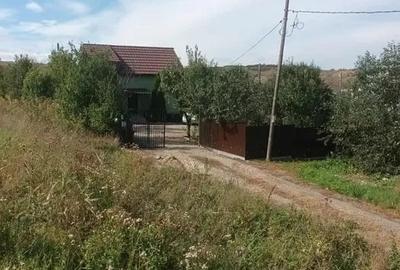 Casa individuală 3 camere in Dezmir - 2