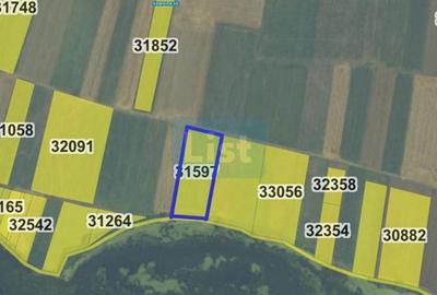 Teren Construcții extravilan de 4000 mp, în Berzasca - 1