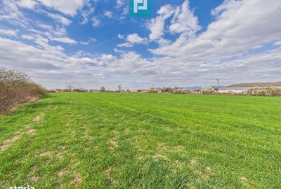 Spațiu comercial, în Gura Văii - 8