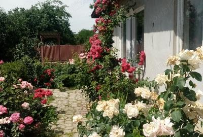 Imobil in vanzare Imobil in vanzare - 9