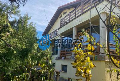 Vila Mineri, D+P+1, teren 1600 mp - 18