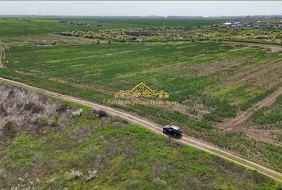 Teren Construcții intravilan de 7504 mp, în Glina - 5