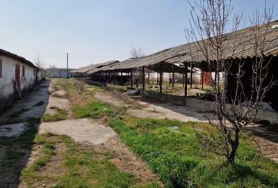 Spațiu comercial, în Central - 2