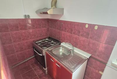 Apartament cu 2 camere decomandat, mobilat în Lipovei - 14