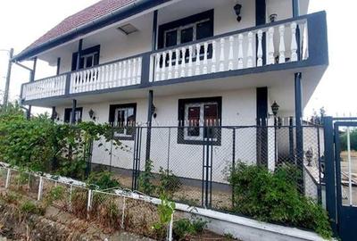 Casa cu 2 etaje si hala mare in Ineu de Cris - 9