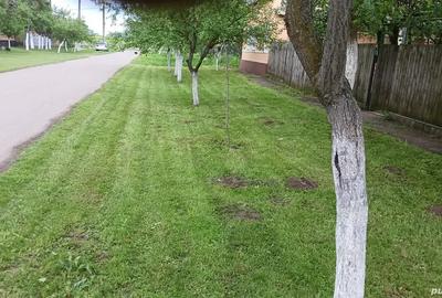 Proprietar vand casa la Calacea Sat - 4