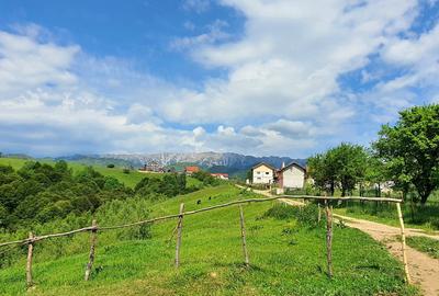 Teren pentru casa de vacanta , Pestera , Brasov - 5