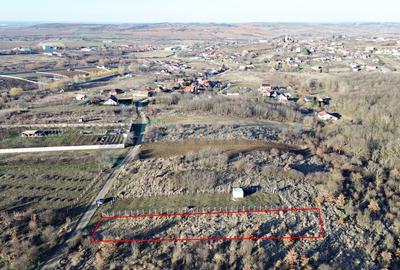 Teren Construcții intravilan de 2555 mp, în Paleu - 1