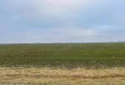 Teren Extravilan Cerna, cota parte 1/5 ID: R2581973 - 1