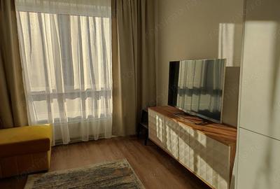 Garsoniera - Brancoveanu - 3