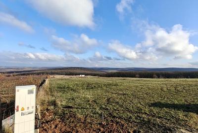 Teren de 3000 mp, în Săldăbagiu de Munte - 7