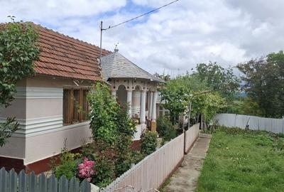 Casă cu 4 camere în Albița - 9