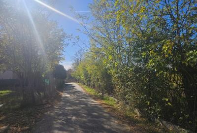 Teren Construcții intravilan de 3457 mp, în Bucov - 6