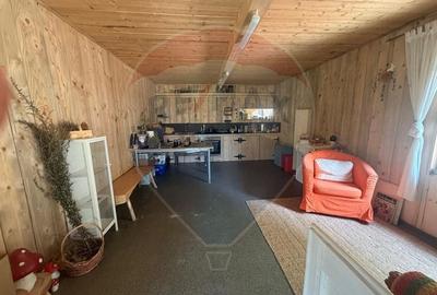Casă cu 14 camere cu Teren 62330 Mp în Horea - 27