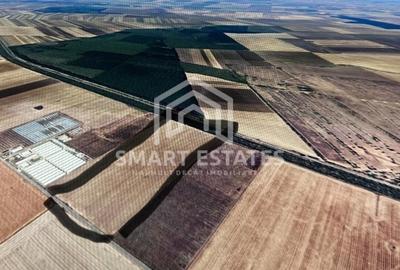 Teren investitie 150.000 mp Baneasa,Giurgiu- AGRICOL / FOTOVOLTAICE