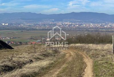 Spațiu comercial, în Șeușa - 2