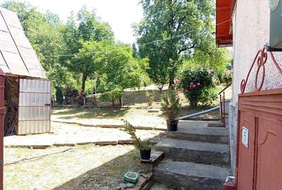 Casă individuală cu 4 camere cu Teren 1439 Mp în Vest - 15