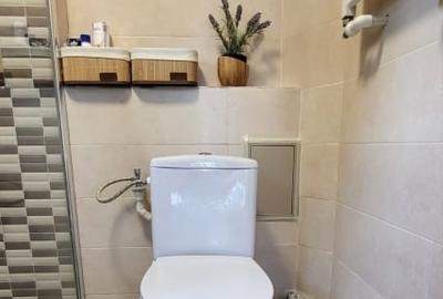 Apartament 2 Camere Ultracentral Premium Recent Renovat - 8