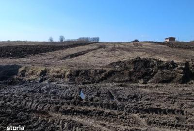 Teren de 500 mp, în Miroslava - 2