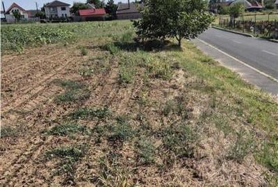 Reco Teren Extravilan Episcopia aproape de Remarkt - 7