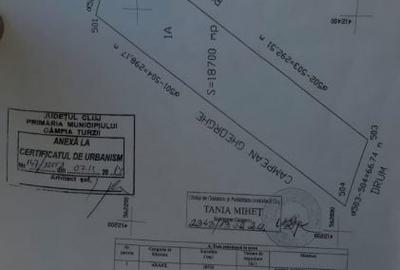 Teren de 18700 mp, în Central - 1