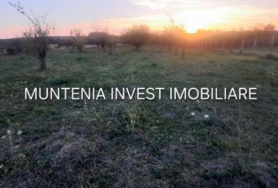 Spațiu comercial, în Central - 5