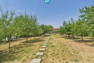 Teren Construcții intravilan de 1106 mp, în Dumbrăvița - 3